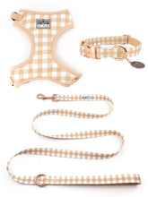 Creme Brulee Style Bundle