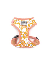 Summer Fling Luxe Bundle