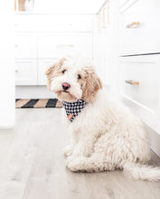 Emerald Envy Bandana