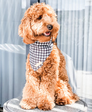Emerald Envy Bandana